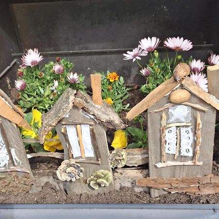 Ferienwohnung Rosengarten بالنشتيت المظهر الخارجي الصورة