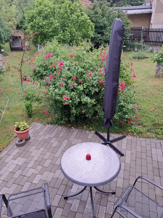 Ferienwohnung Rosengarten بالنشتيت المظهر الخارجي الصورة