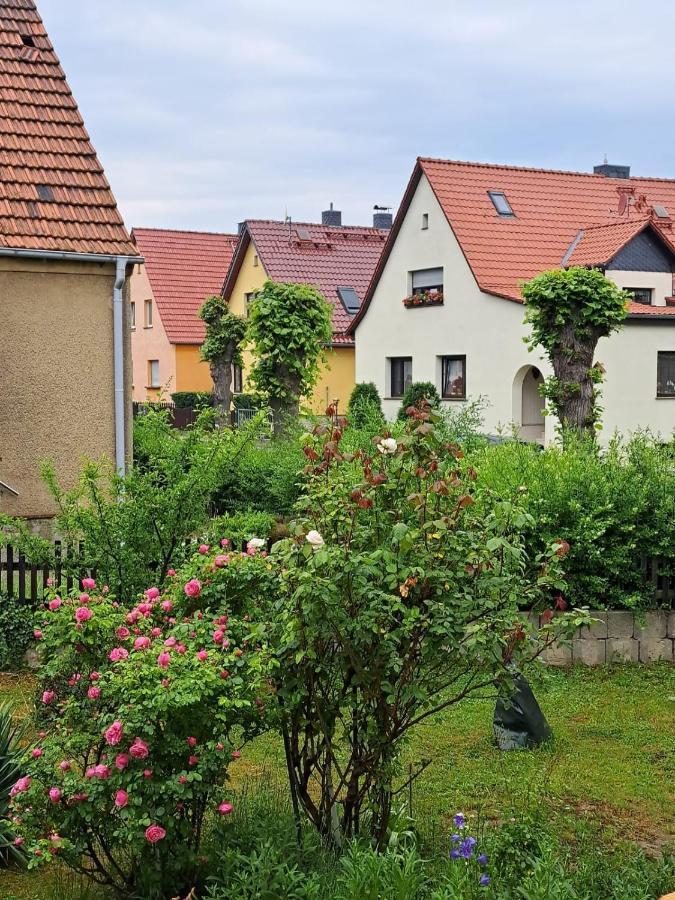 Ferienwohnung Rosengarten بالنشتيت المظهر الخارجي الصورة