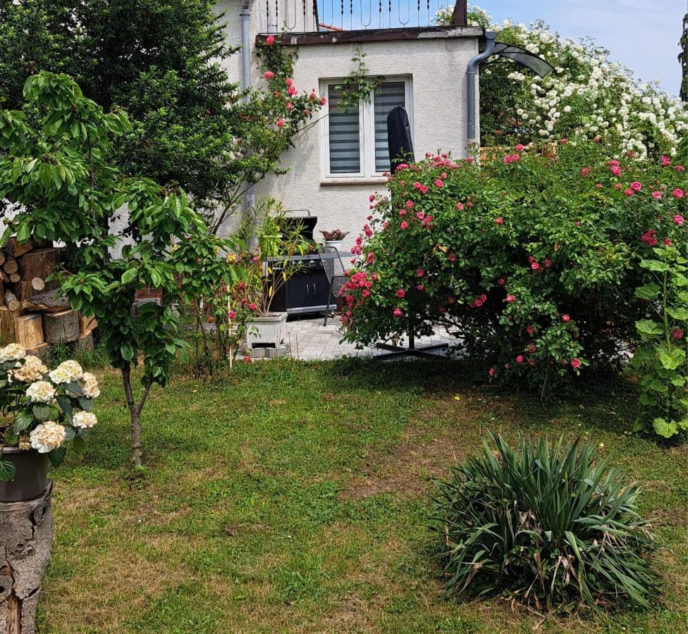 Ferienwohnung Rosengarten بالنشتيت المظهر الخارجي الصورة