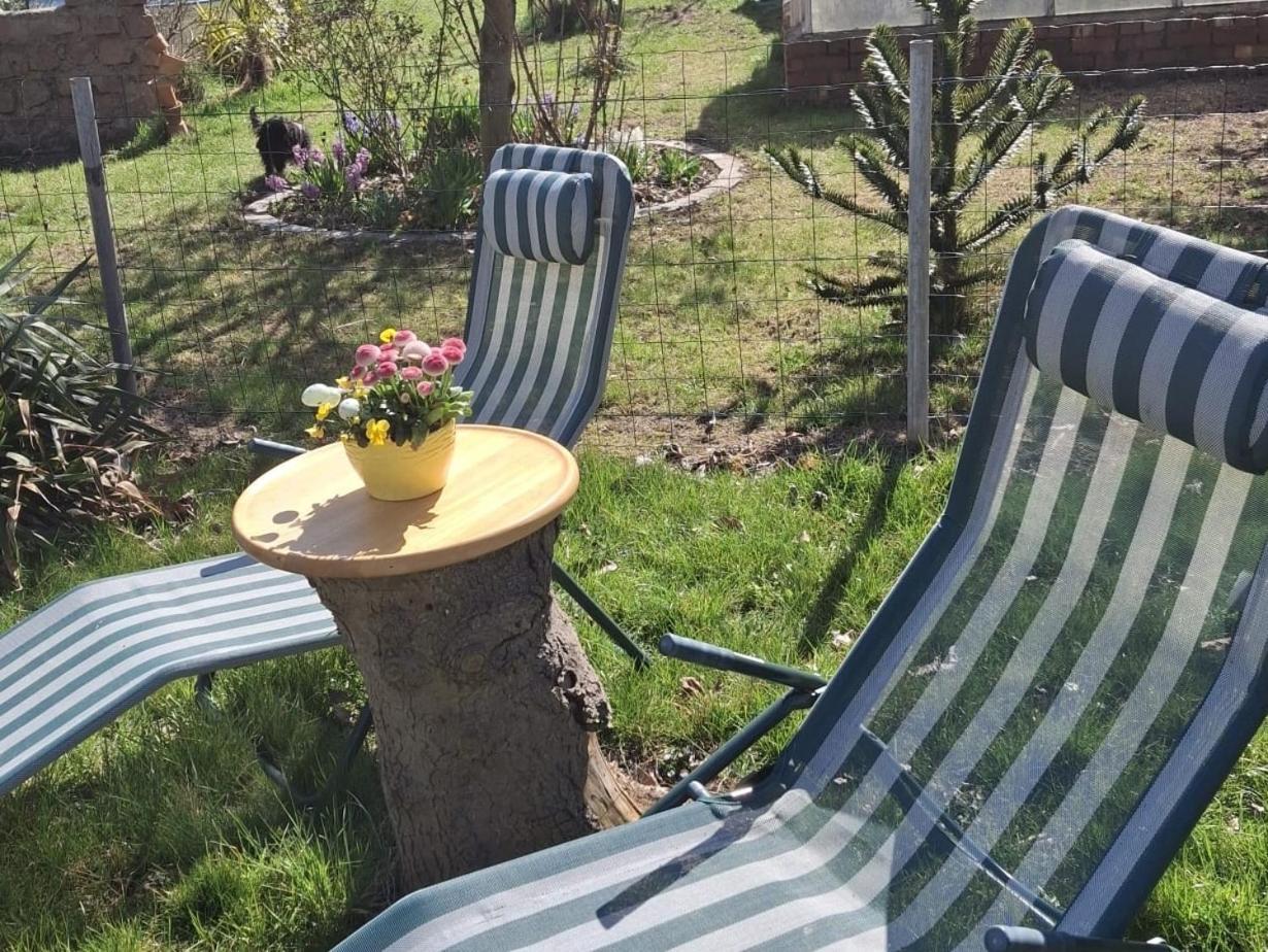 Ferienwohnung Rosengarten بالنشتيت المظهر الخارجي الصورة